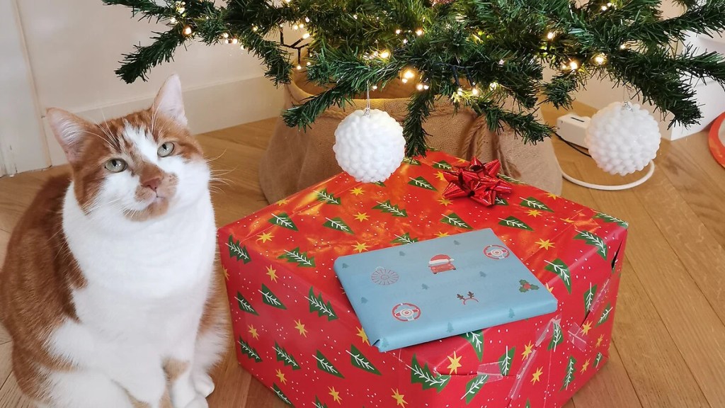 Fiat si aggiudica il primo premio all’Interactive Key Award&nbsp;2023